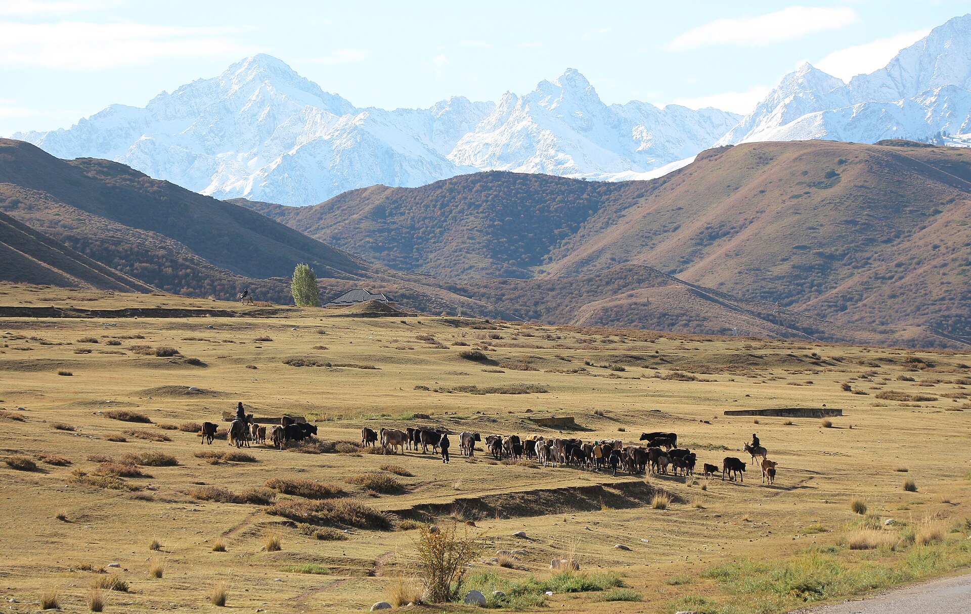 Tian Shan, Kyrgyzstan
